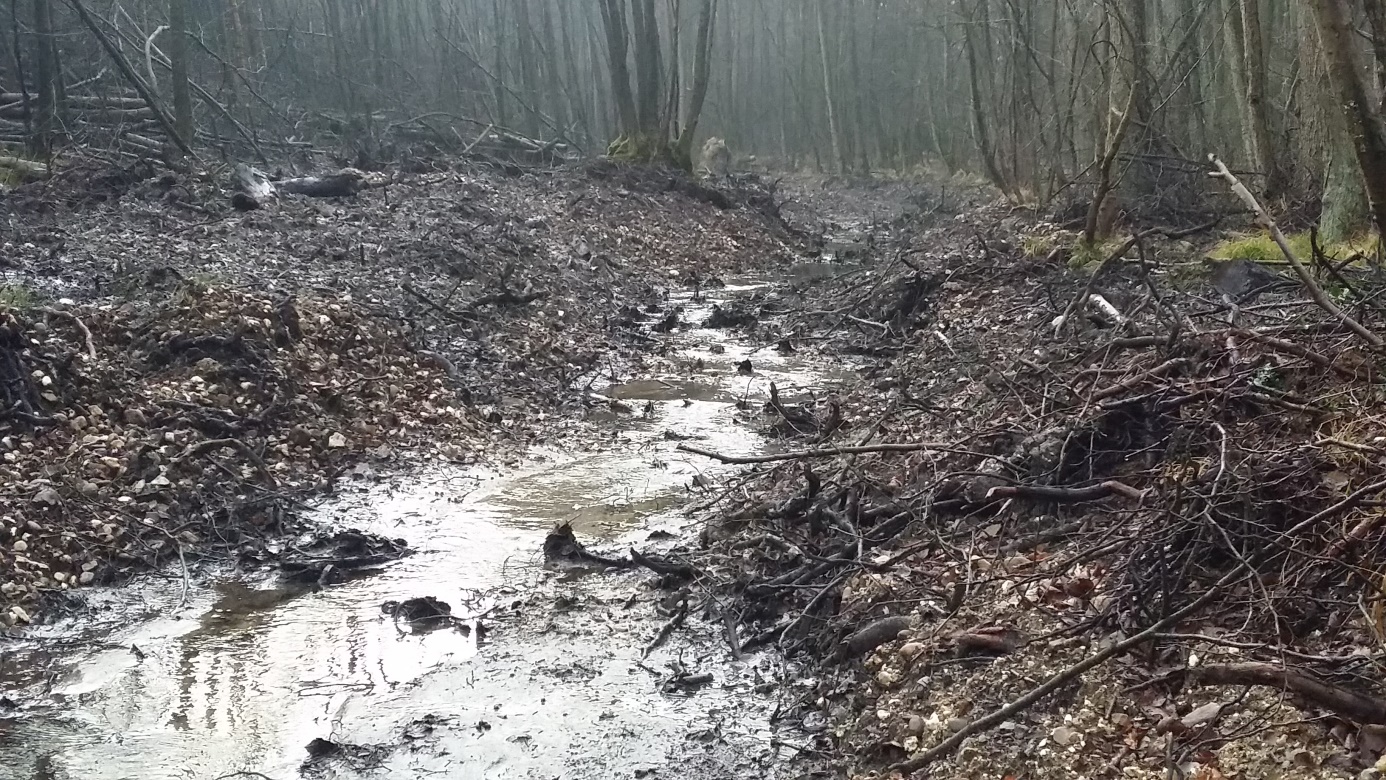 Helpensteiner_Bach_5_nach_Entsiegelung_im_Winter.jpg