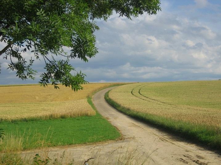 Bild_Landwirtschaft.jpg